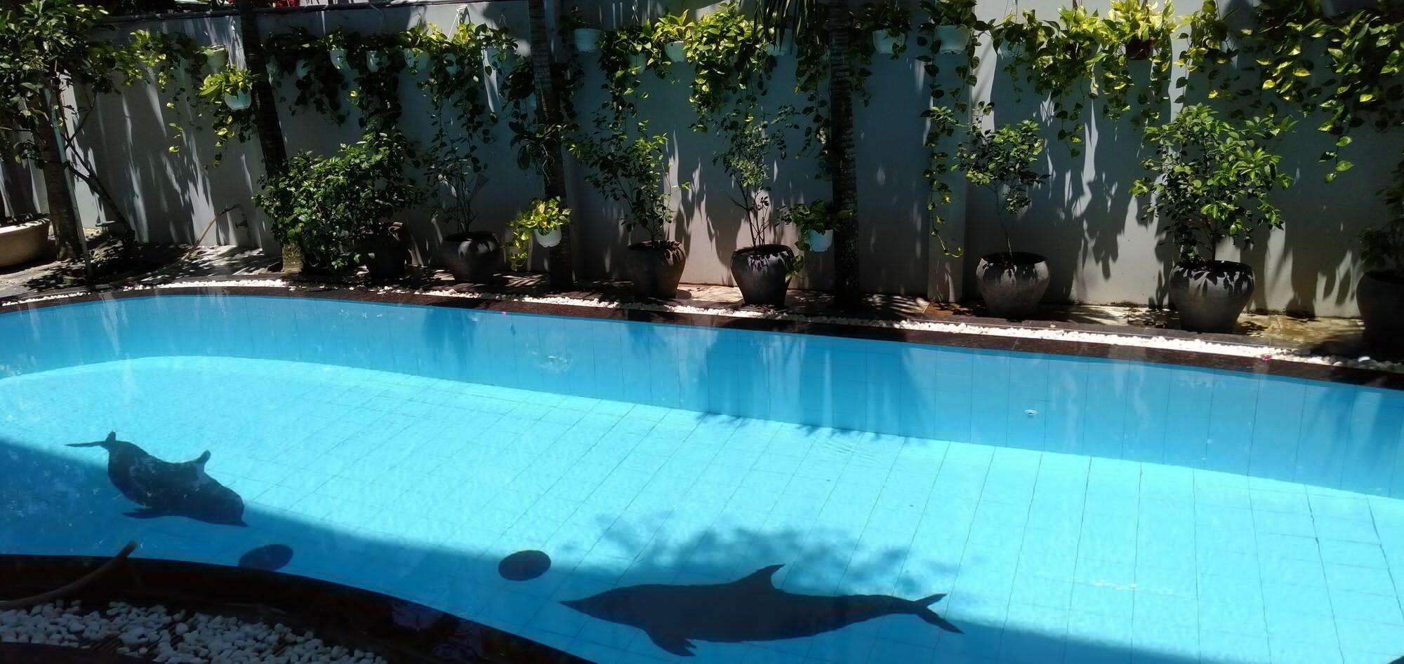 The Moon Villa Hoi An Exteriér fotografie